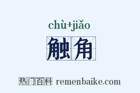 触角是什么意思的图片